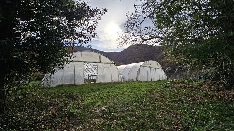 Corps de ferme - 377 m² - 14 pièces