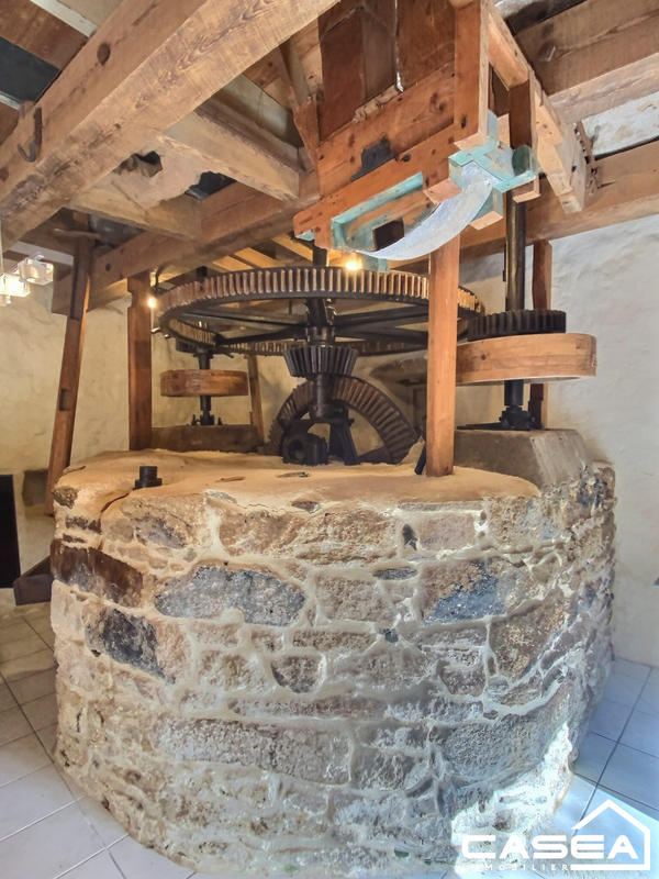 Maison ancienne - 300 m² - 15 pièces