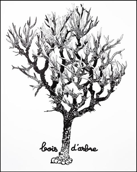 Exposition décon-Cerfs-tante