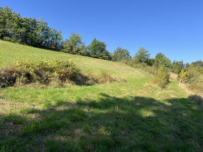 Terrain - 35 842 m²