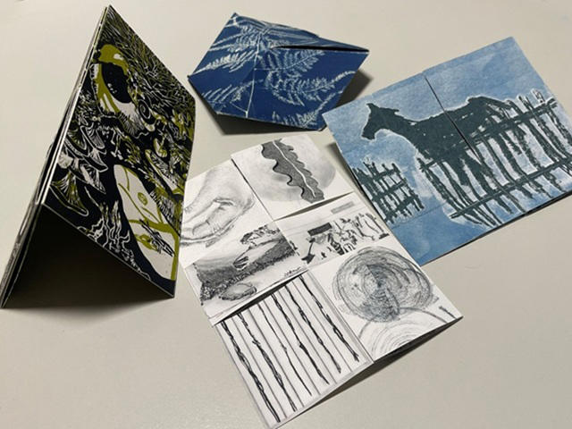 Livres d’artistes et Cie : Sans réserve !