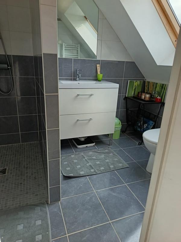 Maison - 250 m² - 10 pièces