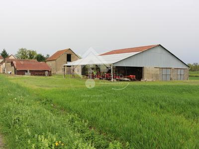 Propriété - 110 m²