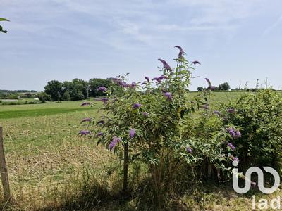 Maison de campagne - 250 m² - 10 pièces
