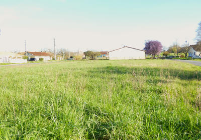 Terrain - 1 700 m²