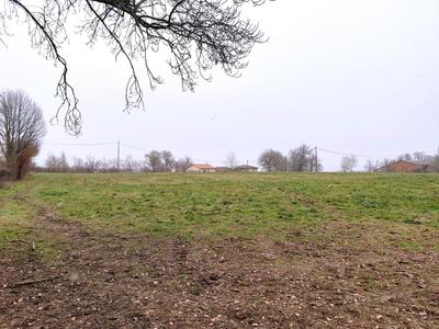 Terrain agricole - 36 700 m²