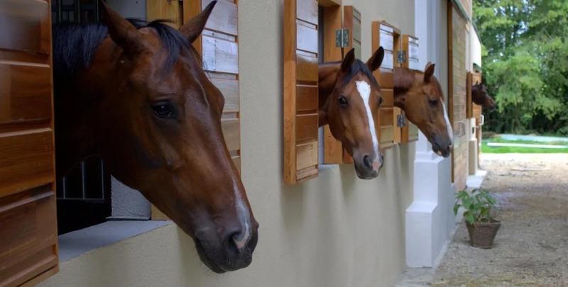 Château - 838 m² - 26 pièces