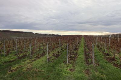 Terrain agricole - 2 001 m²