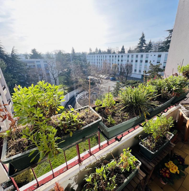 Appartement - 76 m² - 3 pièces