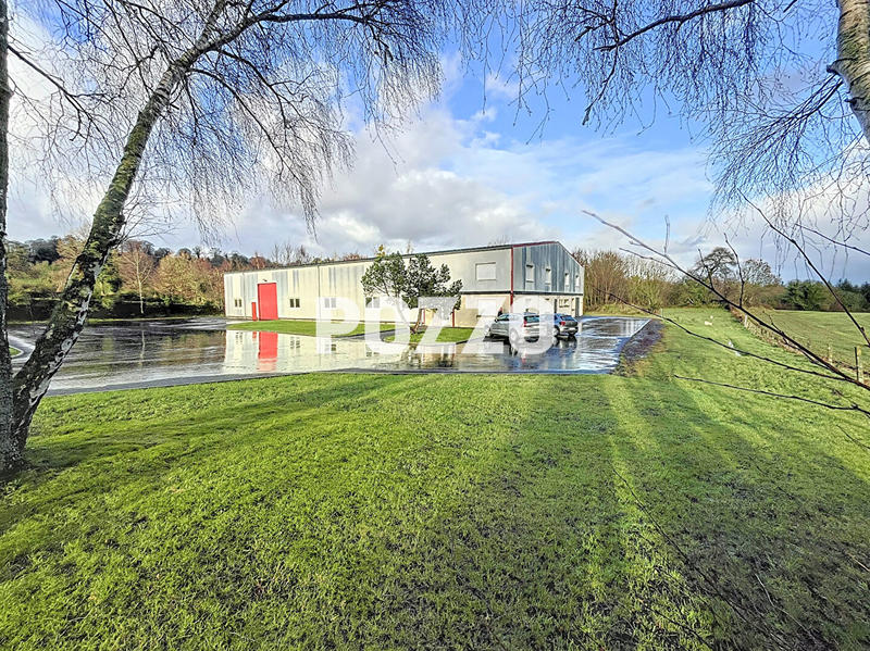 Local d'activité / Entrepôt - 1 098 m² - 9 pièces