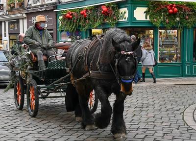 Les Attelages de Jacques