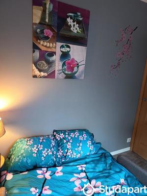 Appartement - 13 m² - 1 pièce