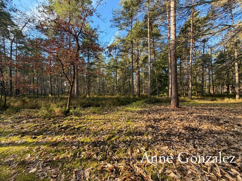 Maison - 180 m² - 6 pièces