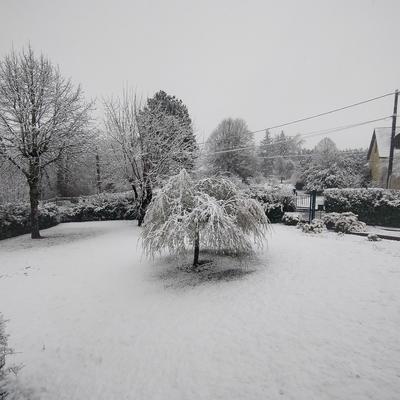 Terrain constructible - 1 575 m²