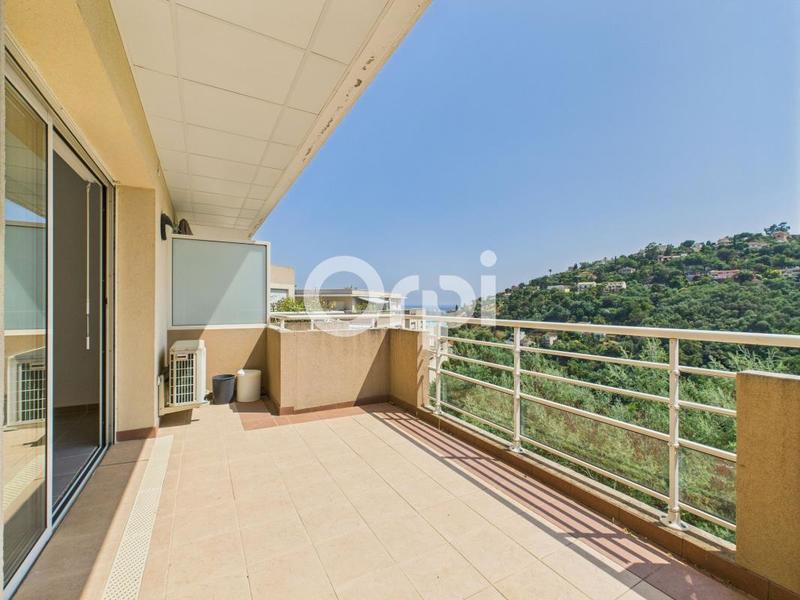 Appartement - 34 m² - 1 pièce