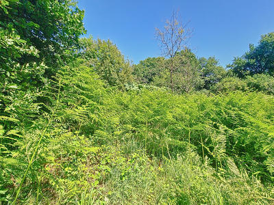 Maison - 94 m² - 6 pièces