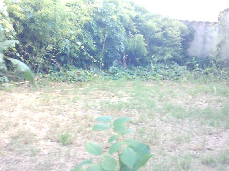 Appartement ancien - 75 m² - 3 pièces