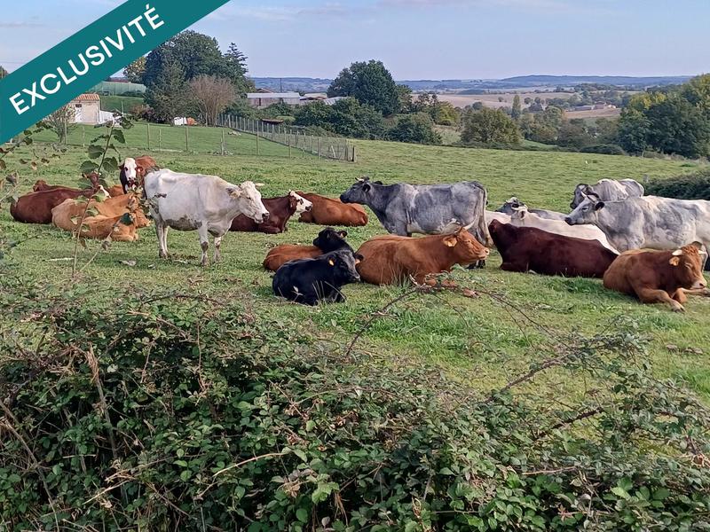 Maison - 76 m² - 4 pièces