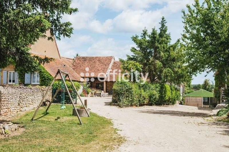 Bureau - 278 m² - 8 pièces