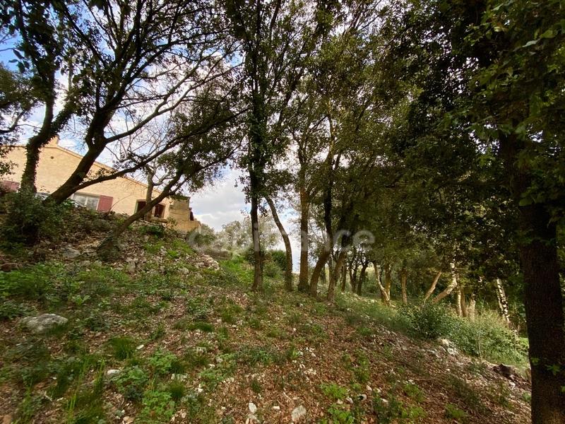 Maison - 126 m² - 5 pièces