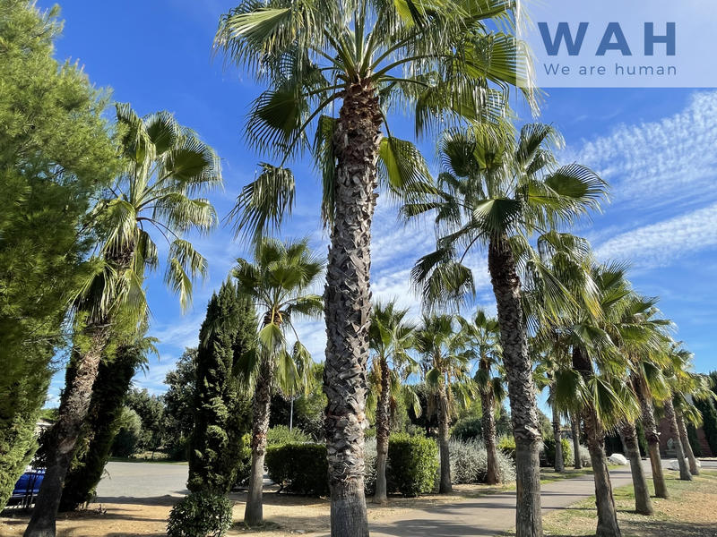 Maison - 33 m² - 2 pièces