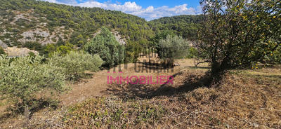 Terrain agricole - 1 786 m²