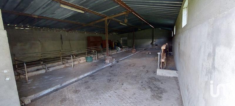 Maison de campagne - 96 m² - 4 pièces