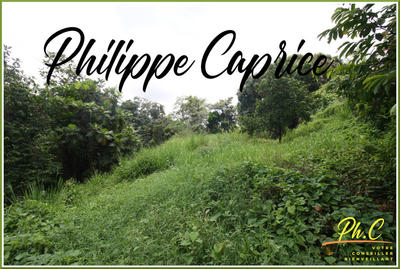 Terrain constructible - 1 015 m²