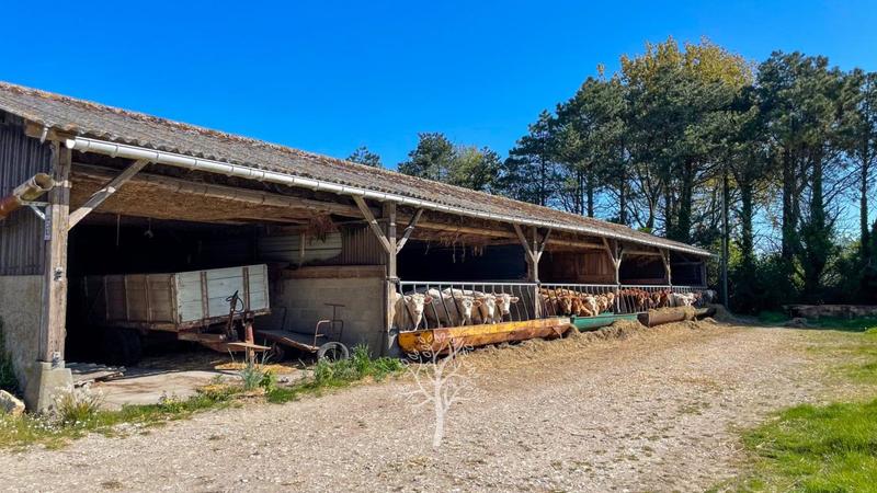 Corps de ferme - 142 m² - 5 pièces