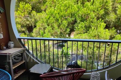 Appartement - 25 m² - 1 pièce