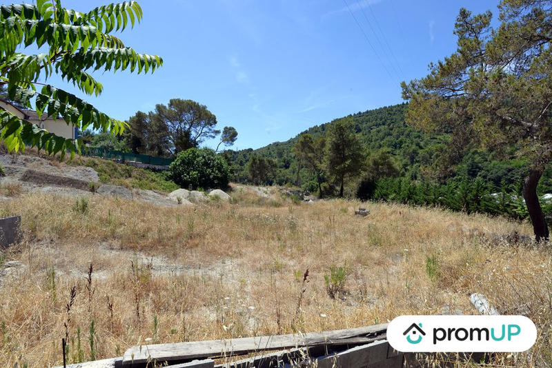 Terrain - 10 000 m²