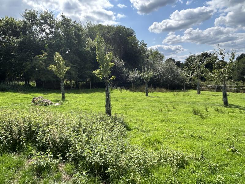 Maison ancienne - 152 m² - 6 pièces