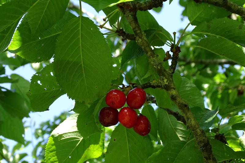 Maison - 132 m² - 5 pièces