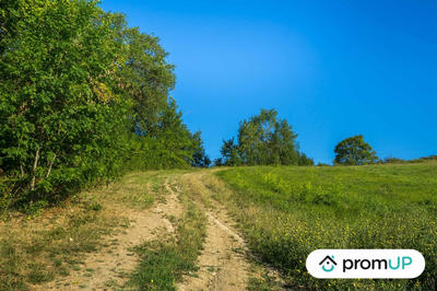 Terrain - 122 232 m²