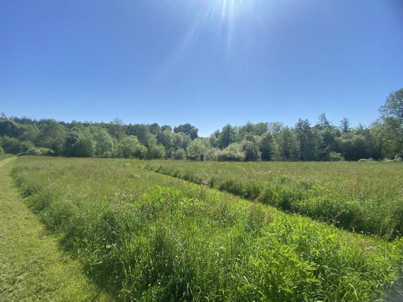 Corps de ferme - 187 m² - 8 pièces