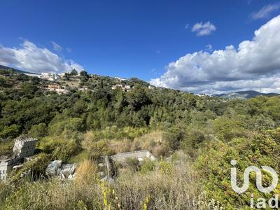 Terrain agricole - 10 100 m²