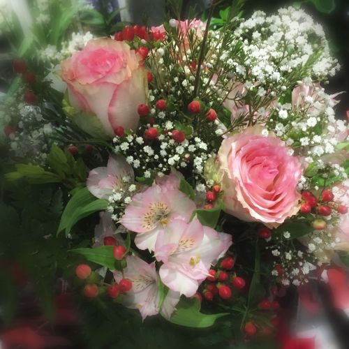 Le Jardin de Camille