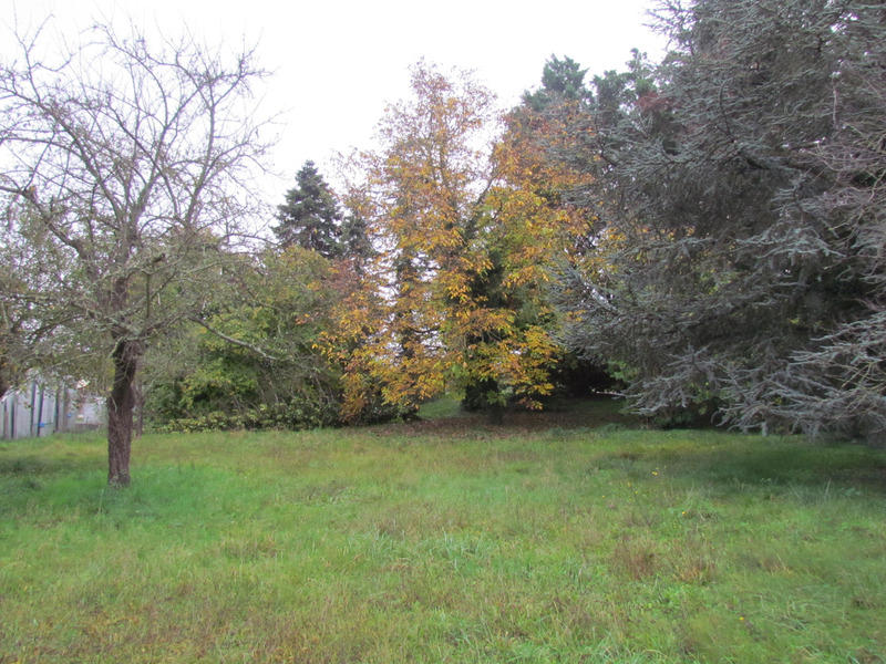 Maison - 135 m² - 7 pièces