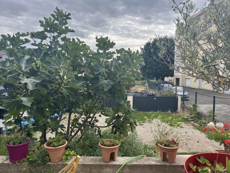 Immeuble - 240 m² - 2 pièces