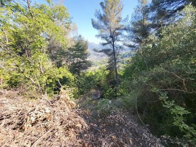 Terrain - 16 415 m²