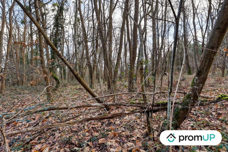 Terrain de loisirs - 770 m²