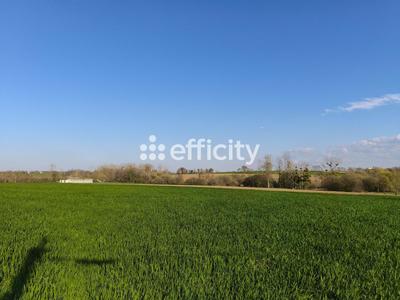 Terrain - 703 m²