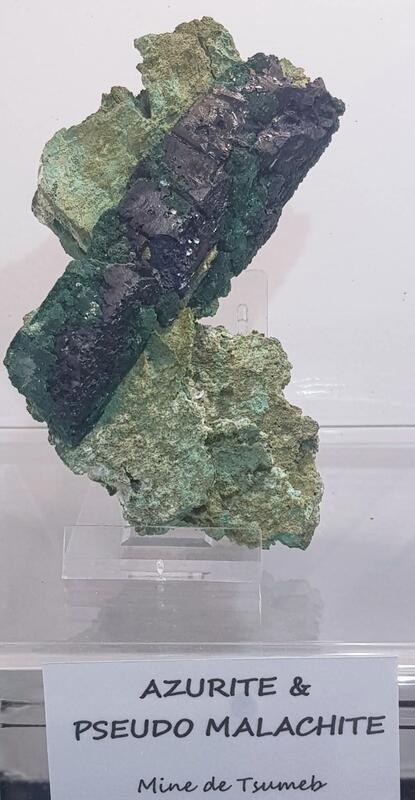 29ème bourse de collection de minéraux et fossiles