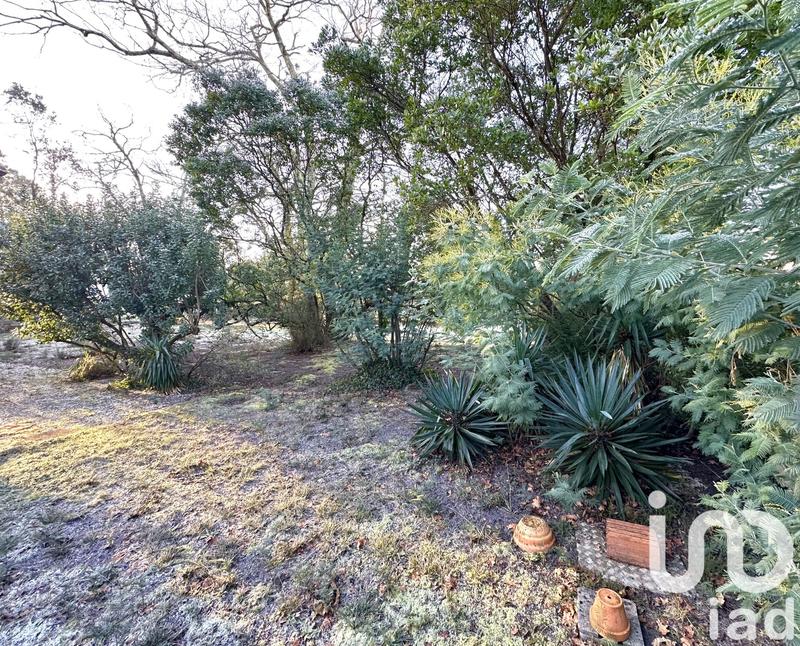 Maison - 66 m² - 3 pièces