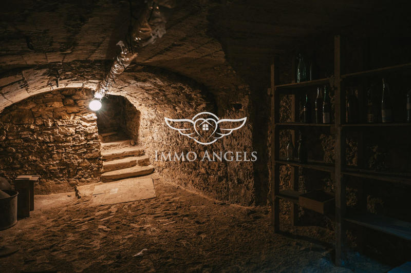 Maison ancienne - 286 m² - 10 pièces