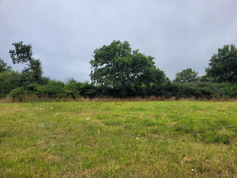 Terrain de loisirs - 3 200 m²