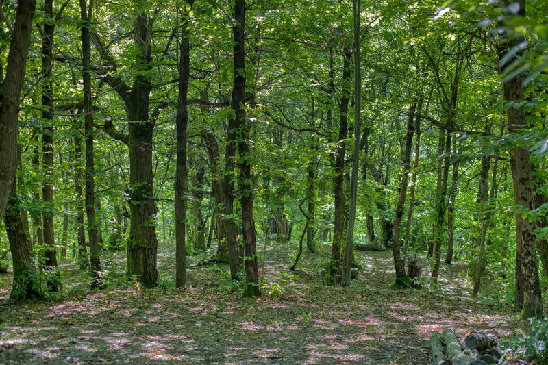 Mas - 157 m² - 8 pièces