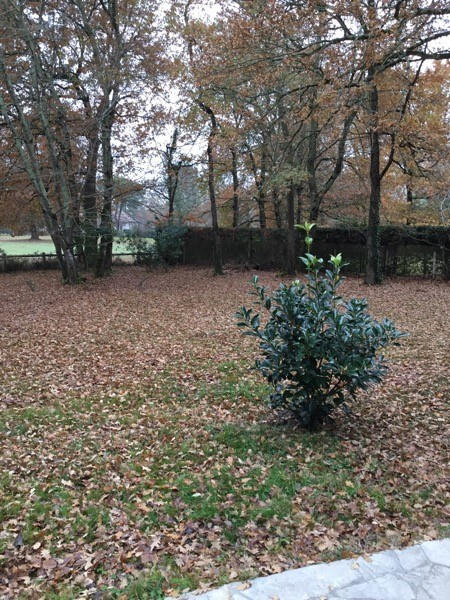 Maison - 132 m² - 5 pièces