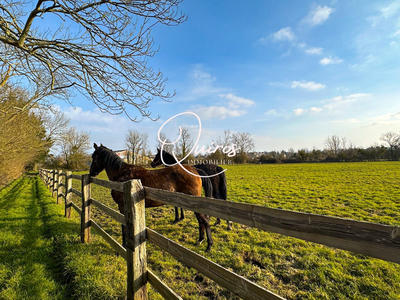 Maison - 160 m² - 5 pièces