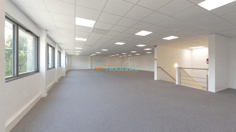 Entrepôt - 1 117 m²